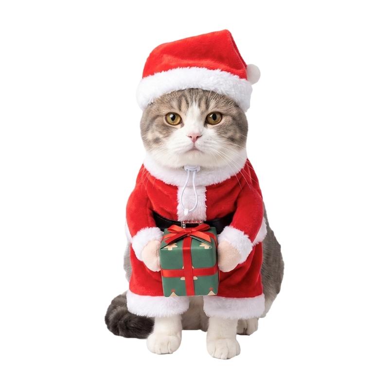 Julekostume til kæledyr med Julemandshat og Kropsdragt, Karakterpræsentation med Gavebæring til Sæsonens Foto