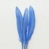 50Pcs Decorative Painting Feather Color Small Straight Knife Kindergarten Handmade Diy Decorative Wings Artwork Creative Art Materials