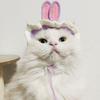 Refined Style Knitting Wool Cat Hat Cute Design Elastic Knitted Hat Photo Props Pet Hat Party Photo Shoot