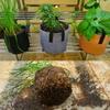 2/5/10 Gallon Garden Grow Bag Felt Plant Growing Pot Flower Vegetable Fruit Herb Fabric Container Indoor Outdoor Planting Tools