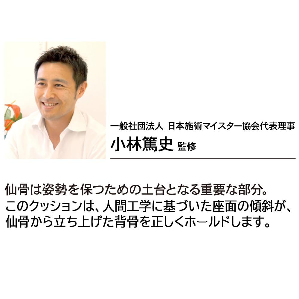 Alphax Posture Support Cushion, Seat Cushion, Chair, Sacrum Cushion, Senritsu, Navy