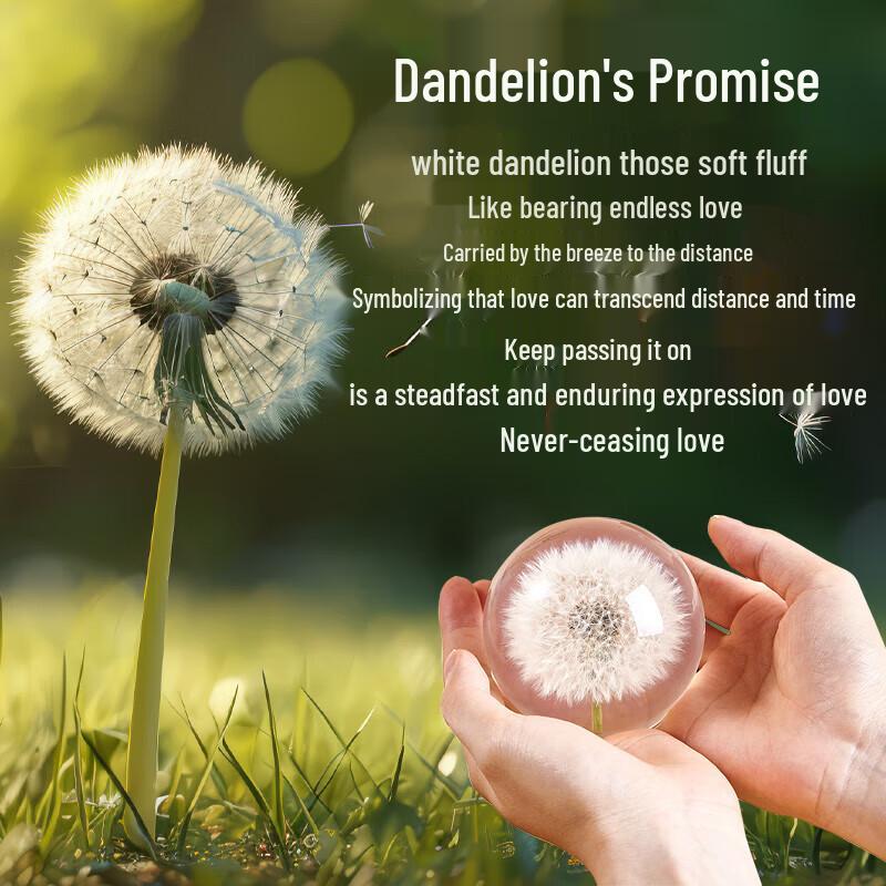 Dandelion Crystal Ball Bluetooth Speaker Music Box