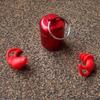 Earplugs for Sleep Work Noise Protection Perfect Pro Plugz Red 3 Flange + Case (A123530)