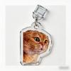 Creative Acrylic Dust Plug Cute Hamster Funny Meme Animal Theme Phone Charm Keychain Charging Port Protector Pendant2