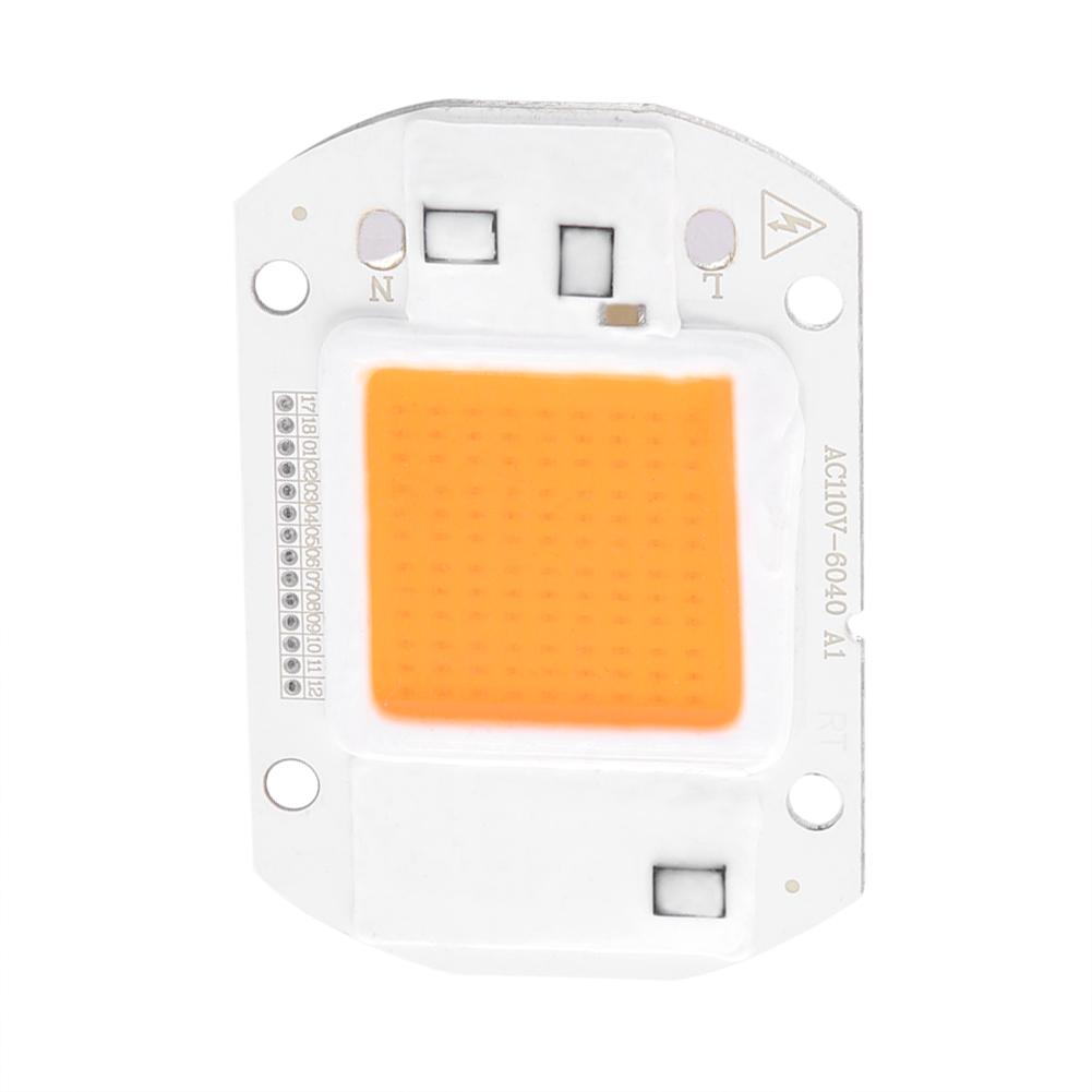 LED Chip Vollspektrum Pflanzenwachstumslicht COB Perlenlampe für Grünpflanzen Blume (110V, 20W)