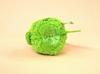 TST Advance Sucre Namedango Green Plush Toy with Suction Cup, Sea Creature, 3886GR