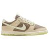 Nike Dunk Casual Low Top Skate Shoes Women Sneakers Brown FB4961-012