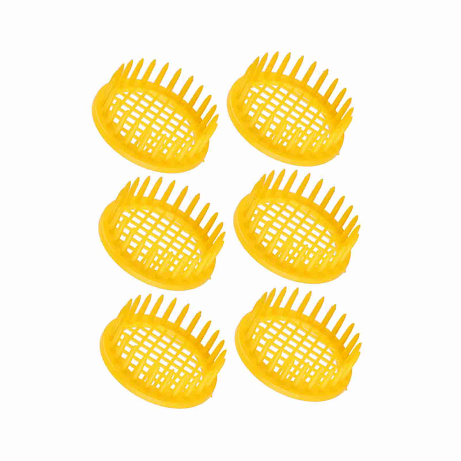 

6 шт. ящик для выращивания пчелиной матки, пчеловодческое оборудование