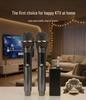 Wireless USB Microphone Duo Set for Home Use
