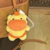 Capybara Water Dolphin Doll Pendant Cartoon Stuffed Dolphin Doll Keyring  Kids Toy
