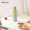 TAIC Pure Titanium Insulated Tea Tumbler