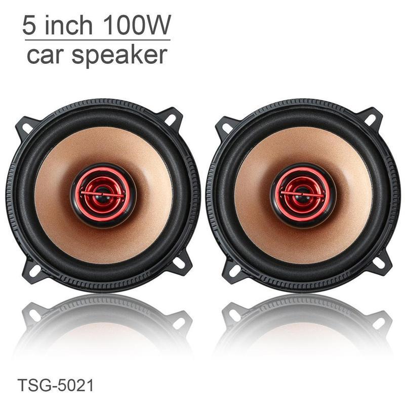 speaker 10 inch 100 watt