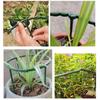 Plant Support Stakes Cage Plie Flower Stand Holder Plastic Semicircle Green House Orchard Fixing Rod Gardening Bonsai Tools