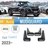 Dongfeng Haohan Auto Mudguard Accessories