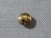 Part C Gold Crown 769
