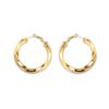 18K Gold-Plated Titanium Steel Twisted C-Shaped Earrings - Hong Kong Style