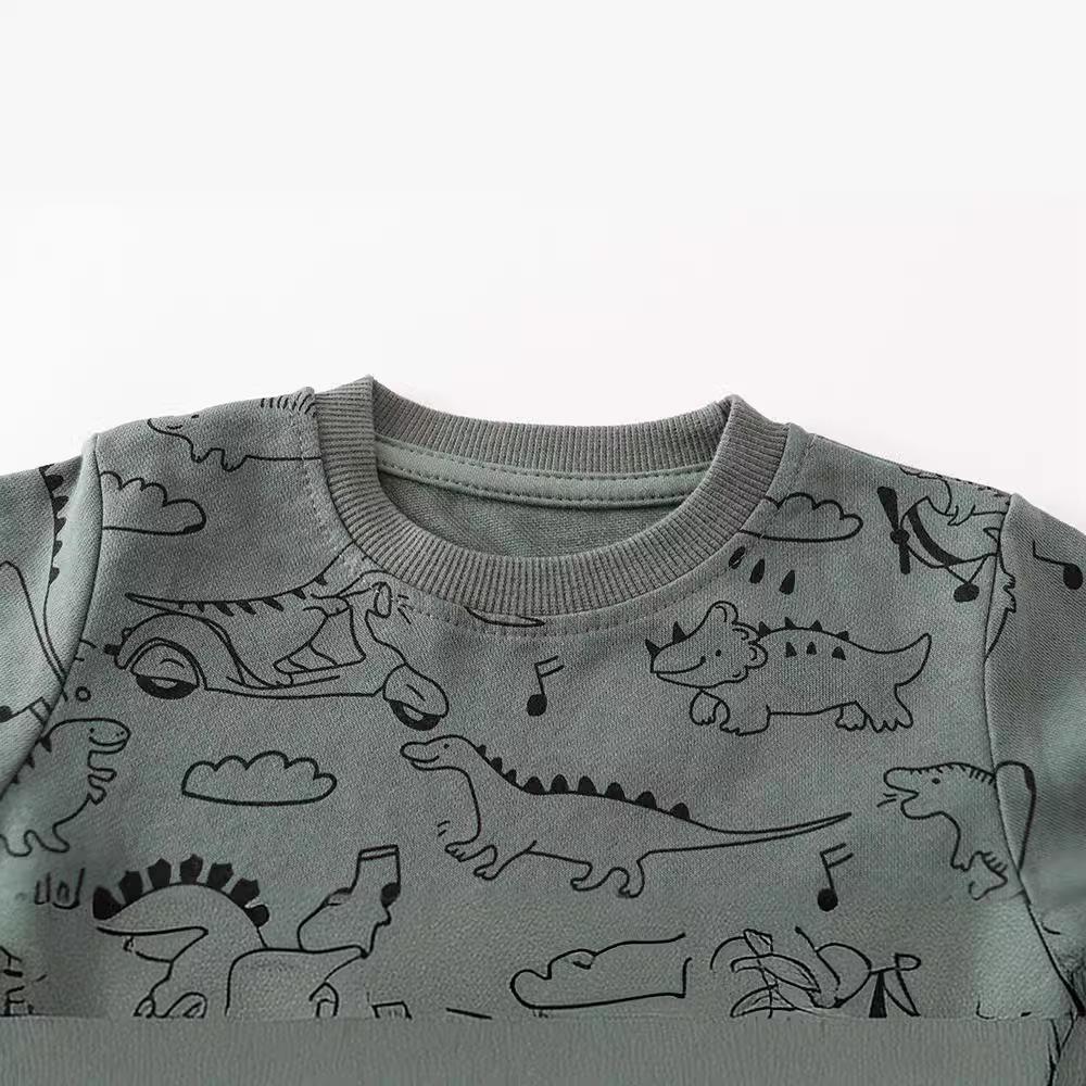 European Style Boys' Cotton Long Sleeve Hoodie - Autumn/Winter Children's Clothing