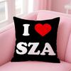 Hot Cool RB Singer SSSZA Cushion Cover Pillowcase Short Plush Invisible zipper Room Sofa Cushion Cover