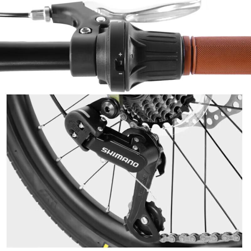 FOREVER 20-inch 7-Speed Soft Tail Folding City Bike (CN version)