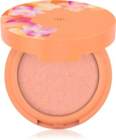 

highlighting powder TU прозрачный