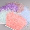 2M Pštrosí peří na stuze pro vyšívání šití do šatů ozdobné peří na pásce třásně pro oblečení