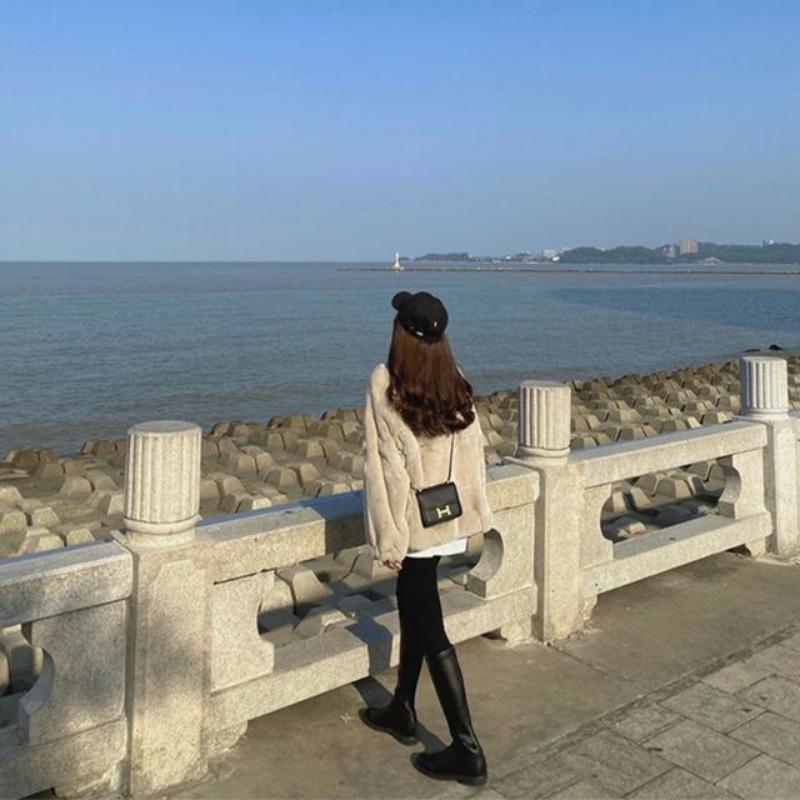 Imitation Rex rabbit plush coat women's autumn and winter new small furry coat