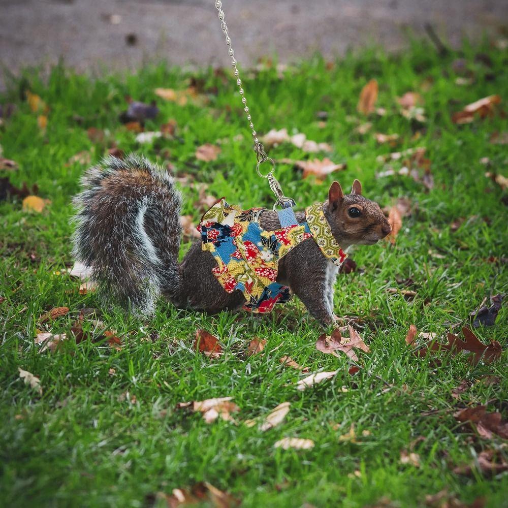 Traction Rope Ferret Harness Vest Floral Pattern Squirrel Floral Skirt  Guinea Pig