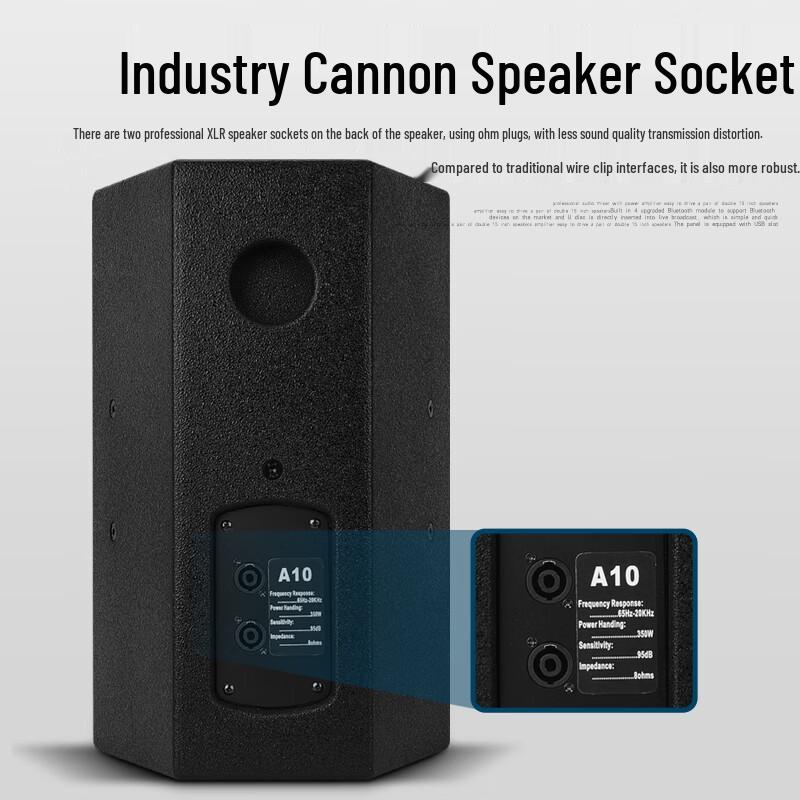 KAXISAIER A-Series 10-inch Passive HIFI Speaker