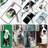Funny Bernese Mountain Dog Phone Case For Samsung Galaxy S24 Ultra S25 Ultra S9 S10 S20 S21 S22 S23 Plus S24 FE Cover