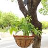 2025 Trend Adjustable Hanging Hook For Outdoor Home Garden Decoration