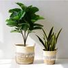 Nordic-style Rattan-woven, Straw-woven Flower Basket, Bamboo-woven Planter for Green Plants, Floor-standing Willow-woven Plant