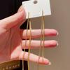 Silver Needle Premium Sense Geometric Tassel Earrings Commuter Fashion Niche Long Earrings Light Luxury New Earrings Women