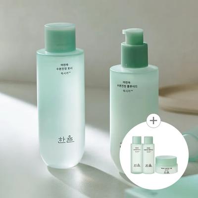 Young Mugwort Moisturizing Soothing 2-piece Set