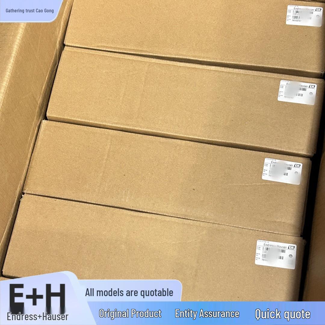 FTM51-AB32L4A32AA E+H Endress+Hauser Поплавковый переключатель уровня с камертонным элементом. Доступно сейчас.