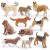 Pvc Lifelike Dog Sculpture Collection For Kids Learning And Decor