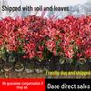 Decorațiuni pentru casă – Flori decorative şi coroane de flori