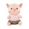 New Style of Silly Pig Plush Toy Cute Little Pig Doll Children's Birthday Gift Pillow