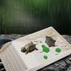 Small Pet Turtle Resting Basking Platform with Feeding Dish Reptiles Tortoises Climbing Ladder Plastic Habitat Decors