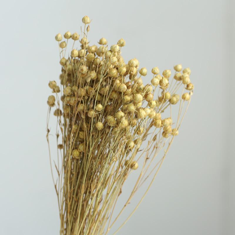 Yunnan Dried & Immortal Flowers Bouquet: Baby's Breath, Roses, Forget-Me-Nots for Home & Homestay Decor