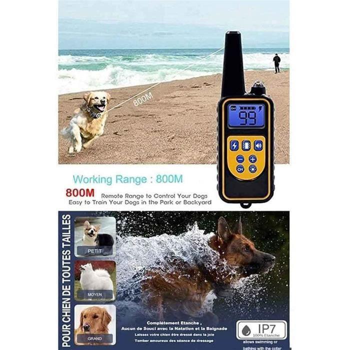 Collier Anti-aboiement - Réglable - Ultrasons - Pour Chien - Dressage Extérieur