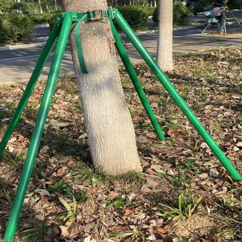 Aokewen Galvanized Steel Tree Support System