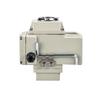 Miniature Explosion-Proof Electric Valve Actuator