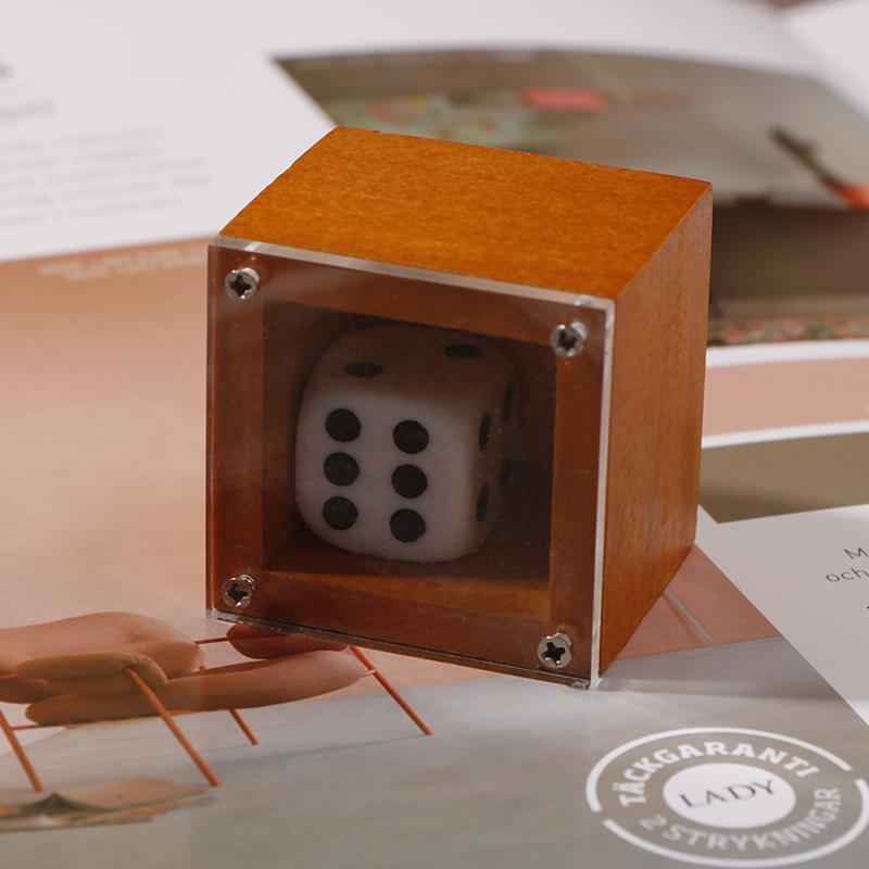 Vorhersagen von Zaubershows, Würfel in der Box, Zaubertipps, Zauberrequisiten, Spielzeug