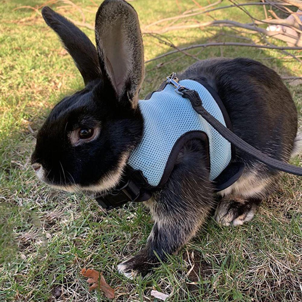 Stylish Rabbit Harness and Leash Set Breathable Pet Chest Strap Pets Supplies Pet Harness  Bunny