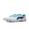 Li-Ning Unisex Badminton & Table Tennis Training Shoes