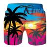 3D Digital Printed Men's Beach Shorts Hawaiian Camouflage Style Loose Casual Shorts