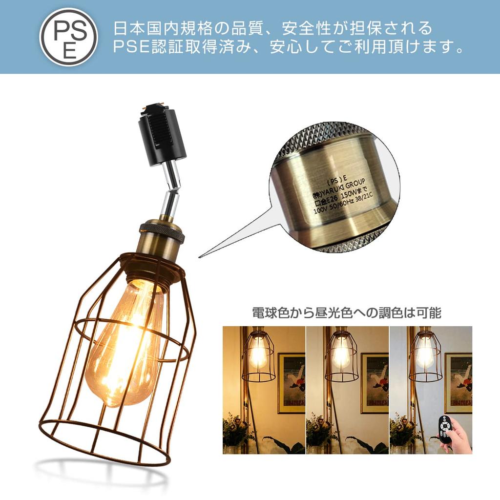 ANWIO 6W (60W Equivalent) Pendant Light for Duct Rails, E26 Base, Adjustable Angle, Remote Control Included, LED Bulb Included, Retro Pendant Light,