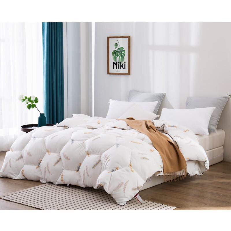 Dohia Aileita Feather Silk Warm Quilt