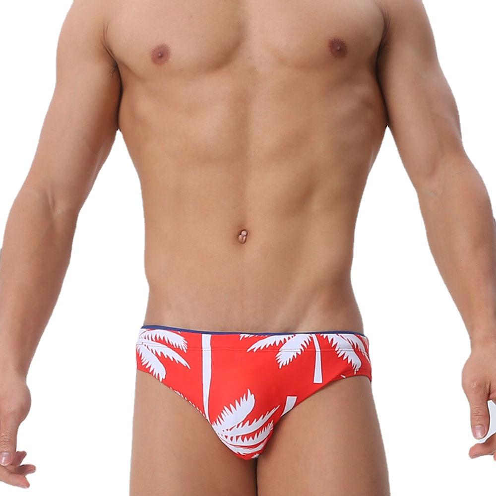 Men's  Fashion Strips Sexy Men's Brief Sexy Printed Swimsuit for Men Surfing Swimwear Low-Rise