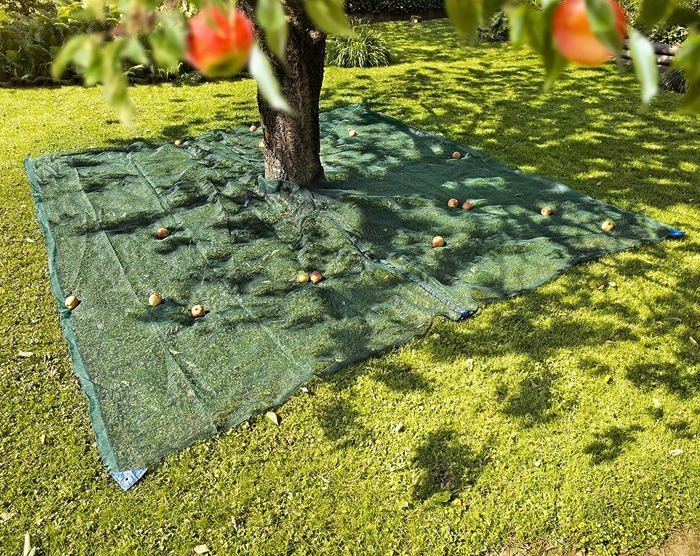 Filet de Jardin - Windhager - 06020 - Protection Fruits et Noix - Tissu PE - 4 x 4 m